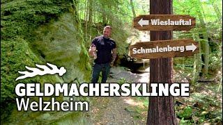 Die Geldmachersklinge - Steile Schönheit mitten im Wald | Welzheim