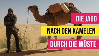 Auf 3 Kamelen quer durch die Wüste! Teil 2