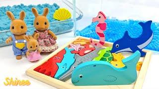 Explore Sea Animals with the Rabbit Family: Fun Facts & Puzzles! Shinee