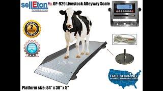 SL-929 Livestock Alleyway livestock Scale by selleton