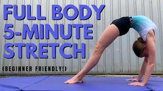 GET FLEXIBLE FAST | Full Body Follow Along Stretch for Gymnasts