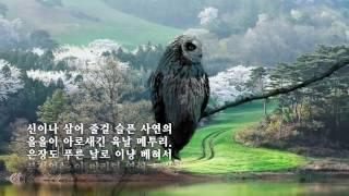 귀촉도/서정주 (낭송:김귀숙)