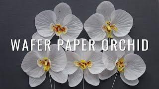 How to make Wafer Paper Orchid + free template
