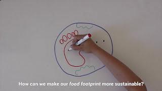 Food footprints: global food security and sustainability