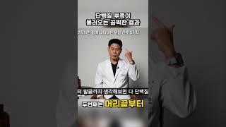 단백질 부족은 만병의 근원 다이어트에도 필수적인 단백질 #다이어트 #비만