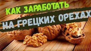 Как заработать на грецких орехах?
