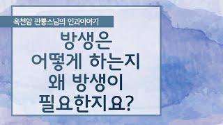 방생은 어떻게 하는지, 왜 방생이 필요한지요? [옥천암 관룡스님의 인과이야기]