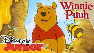 Kleine Abenteuer mit Winnie Puuh - Puuh und die Honigbienen | Disney Junior