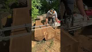 I chainsaw milled a massive Siberian elm crotch! Stihl MS 881 and Granberg Alaskan Mill