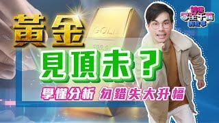 黃金見頂未？金價大升幕後黑手是誰？兩個維度分析，學懂後不再錯失大周期【零至千萬 #140】