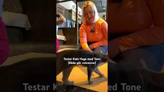 TESTAR KATTYOGA