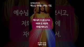 [가톨릭 기도문] 하느님 자비를 청하는 기도, 자비의 기도 (#shorts , 남자성우)