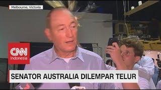 Salahkan Muslim, Senator Australia Diserang Dengan Telur