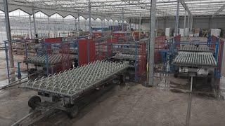 Triple Automatic Trailer Loading Lines and Boom Irrigation - Rotomation - Urbinati