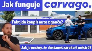 Jak funguje carvago? Proč a jak koupit auto z pohodlí domova?