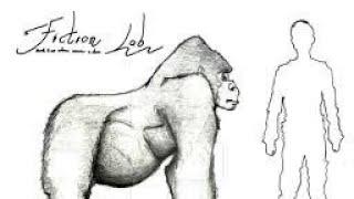 Evolução humana: graecopithecus freybergi