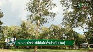 ธ.ก.ส. นำร่องใช้ต้นไม้ค้ำประกันเงินกู้ | 29-08-61 | ข่าวเช้าไทยรัฐ