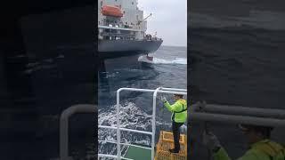 Pilot accident while boarding the vessel....#pilotladder #pilotboarding #timingforboarding