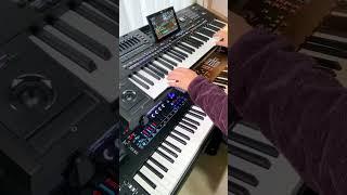 KORG Pa5X、自分のバンドを引き連れている感覚で最高　MONTAGE M8xと共演しました