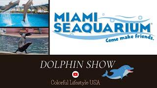 Miami Seaquarium | Dolphin Show | Seaquarium |Sea Lions Show |Colorful Lifestyle USA