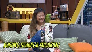 Fantastis, 35 Burung Jacqueline Wijaya Total Harganya Miliaran Rupiah! | TRIG3RR (07/05/22) Part 4