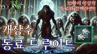 [디아블로4:시즌6] 개장수 동료 드루이드! 20마리 이상의 동료들과 함께!!ㅋㅋ