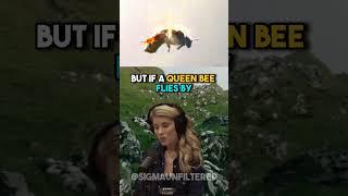 The Tragic Mating Ritual Of Queen Bees | JRE featuring Erika Thompson