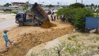 Incredible Powerful KOMATSU DR51PX Bulldozer Spreading Soil with Dump Truck Pouring Soil In Pond