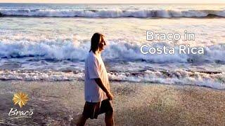 Braco in Costa Rica