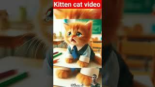 Little cat sad story | kitten cat viral video| #cute #animals #shorts #spiderman @spiderman #cat