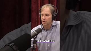 STEPHEN MEYER Shocks JOE ROGAN With Mind-blowing Evidence FOR GOD & Against EVOLUTION #shorts #short