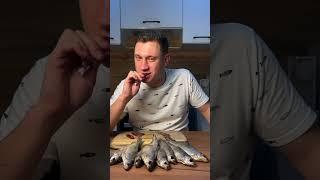 Пора побаловать себя вкусной рыбкой Да, сами когда выкладывали видео слюни текли только так 