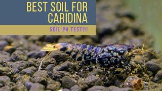 What is the best pH for High Grade Caridina Shrimp - Best ACTIVE SOIL