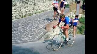 Bicycle History by Jim Witherell book trailer