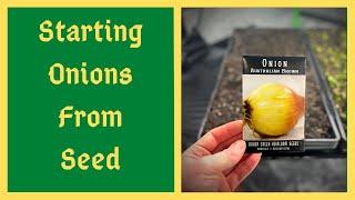 Time To Start Onions From Seed - Everything You Need To Know - Long Day Short Day - Sets vs Seeds