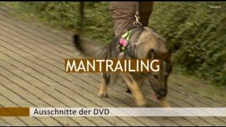 Mantrailing 1  - Vom 1. Trail bis zur beginnenden Kreuzungsarbeit