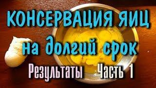 КОНСЕРВАЦИЯ ЕДЫ, ЯИЦ, НА ДОЛГИЙ СРОК (5.5 месяцев) Природные консерванты Ч -1 РЕЗУЛЬТАТЫ