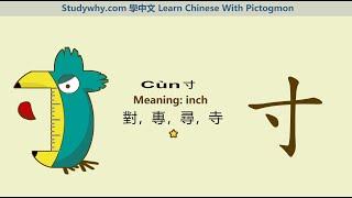 Studywhy Learn Chinese 學中文 --- inch 寸