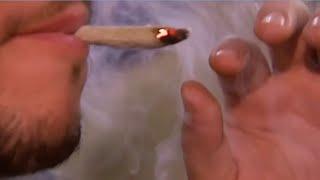 Study: Marijuana use among college students at all-time high