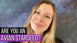All About Avian Starseeds - 7 Clear Signs You Are One