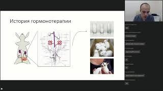 Гормональная терапия. Разговор с онкологом