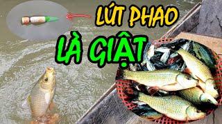 Câu Cá Chốt Và Cái Kết | Liêm Vlogs