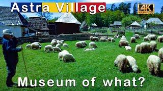  Astra Village Open Air Museum - Romania's living history - Walking Tour in 4K