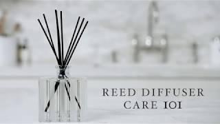 Reed Diffuser Care | NEST Fragrances