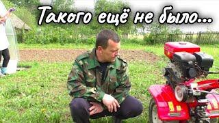 В Деревне Беларуси Такого Мая ещё не было...