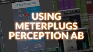 Using MeterPlugs Perception AB For Seamless Processing Decisions