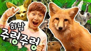 [EVENT] Hanam Zoolung Zoolung Theme Park and Be Friend with Red Fox! -Kang i