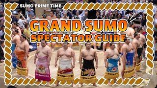 Essential Tips for a Thrilling Live Sumo Experience