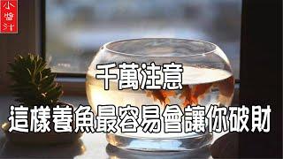 【養魚風水】千萬要注意，這樣子養魚，最容易讓你破財！