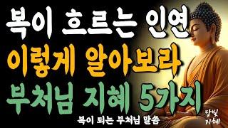 복이 흐르는 인연 이렇게 알아보라 부처님 지혜 5가지 가르침ㅣ부처님 말씀ㅣ불교 명언ㅣ석가모니 가르침